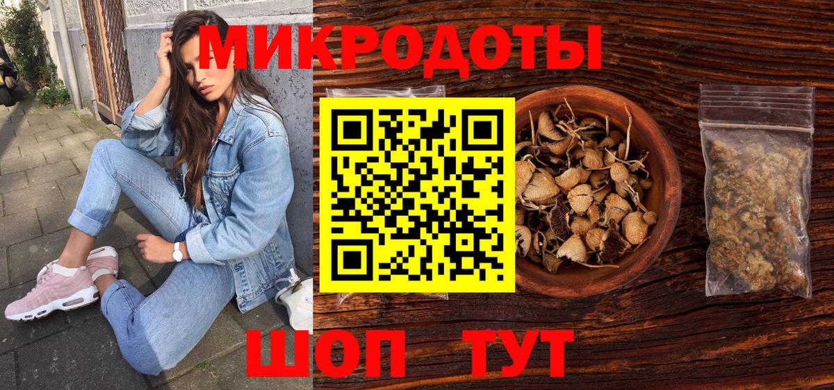 Галлюциногенные грибы Cubensis Нововоронеж