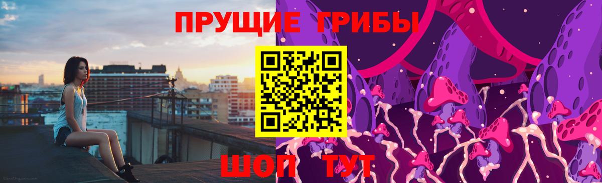 Галлюциногенные грибы GOLDEN TEACHER  Вход с VPN  Нововоронеж 